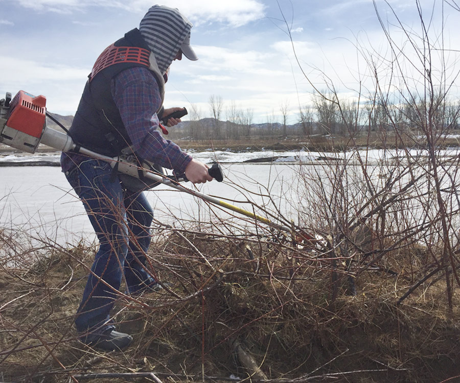 Integrated Vegetation Management Brush Clearing