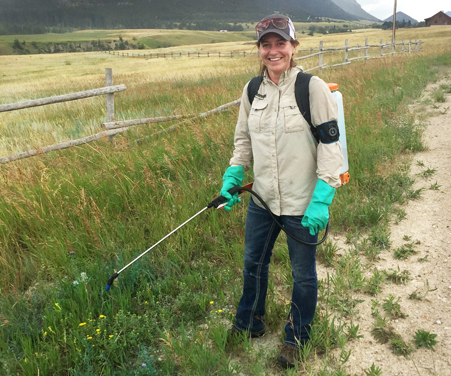 Integrated Vegetation Management Strategies and Spraying