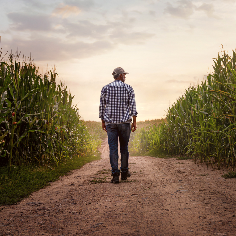 Need a Farmer Three Times a Day