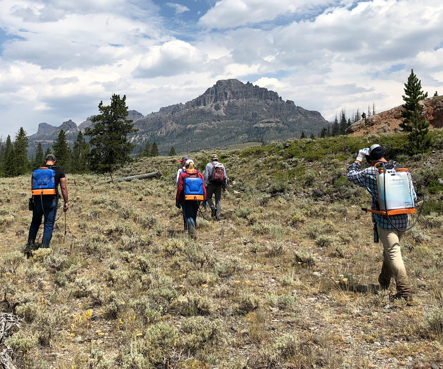 Range and Pasture Management Spray Team