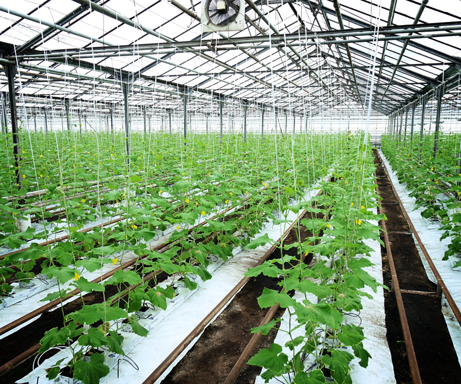 Specialty Ag Products for Hydroponics and Greenhouse
